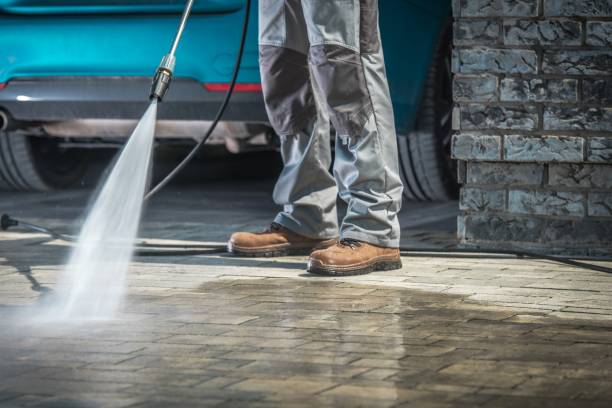 Best Dumpster Area Cleaning  in Lely, FL