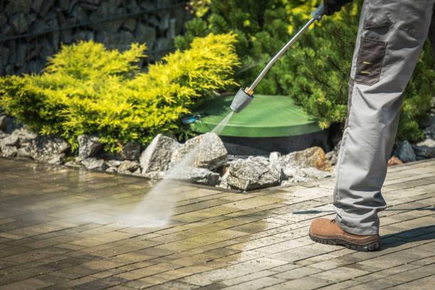 Best Winterizing Services  in Lely, FL