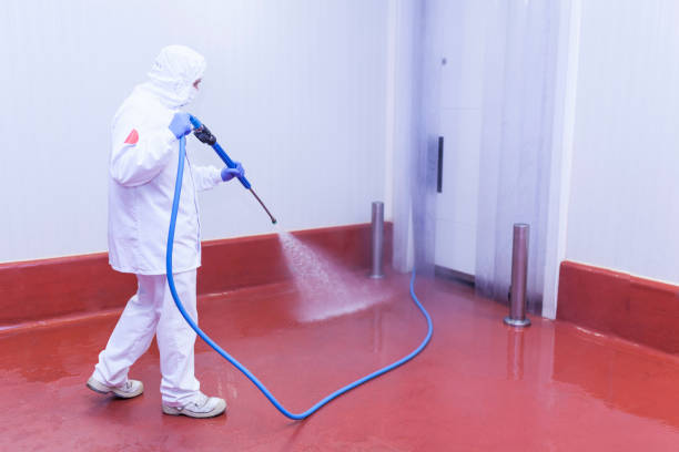 Paint Preparation in Lely, FL