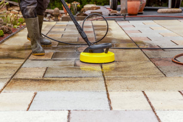 Best Gutter Cleaning  in Lely, FL